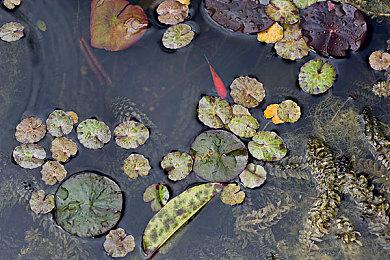 《黑枪神：悟空》正式版2月5日发售 无脑恶搞解压